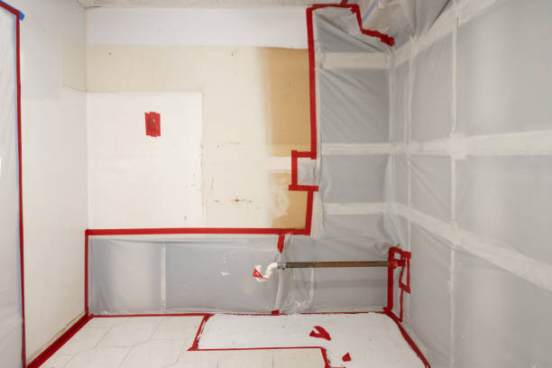 Best Post-Remediation Verification Testing  in Albany, KY