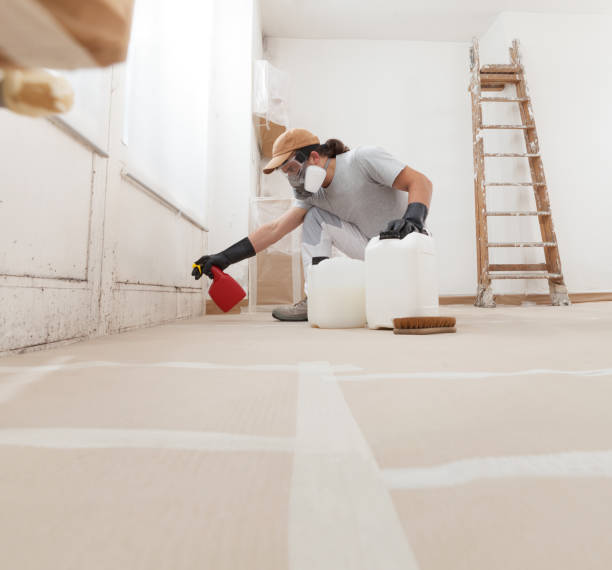Best Mold Odor Removal Services  in Albany, KY